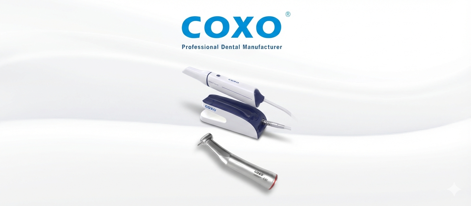 coxo - 