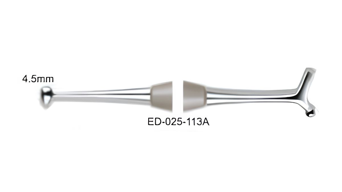 BRUNISSOIR DOUBLE EMBOUT OEUF/T 4.5  