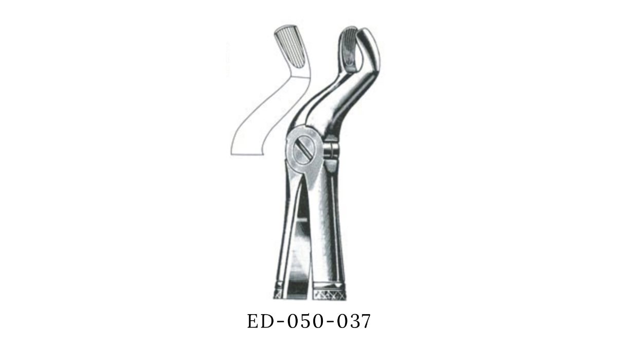 DAVIER DENT SAGESSE N°67A