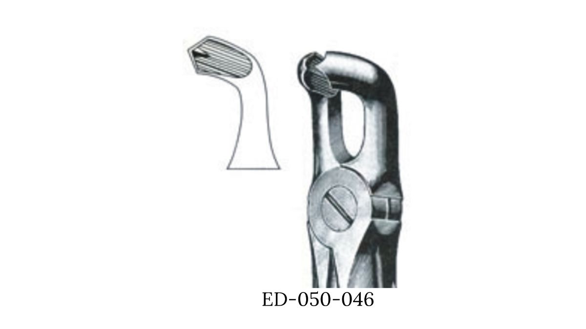 DAVIER ADLT DENT DE SAGESSE INF N 79A