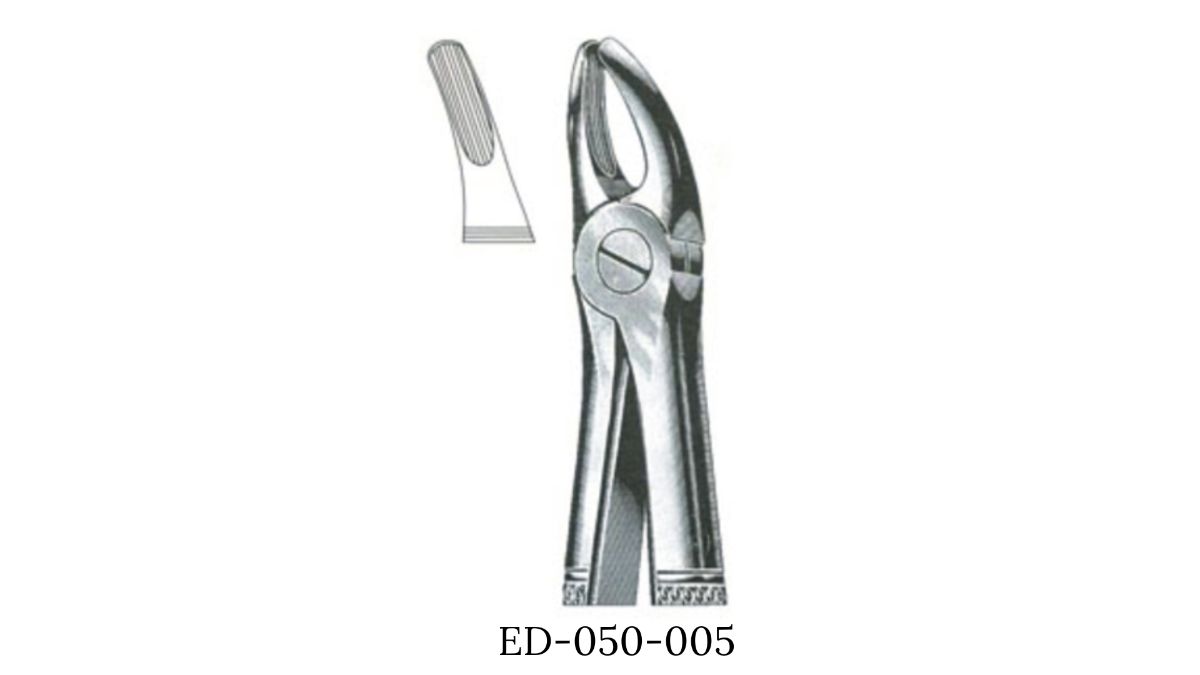 DAVIER ADLT INCISIVE PREMOLAIRE SUP N 7