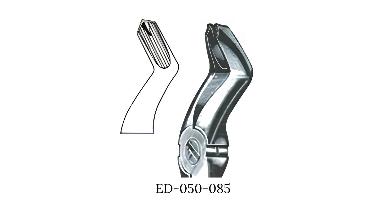 DAVIER ENF MOLAIRE SUP