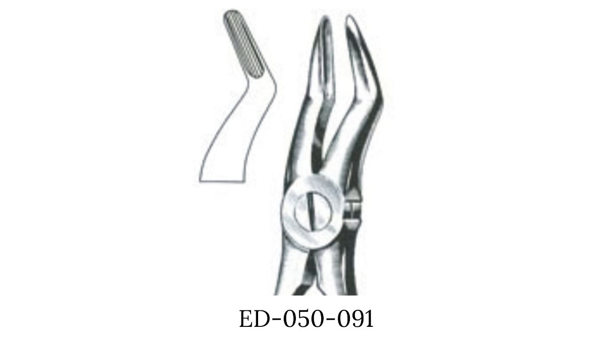 DAVIER ENF N°51S / RACINES SUPERIEURES