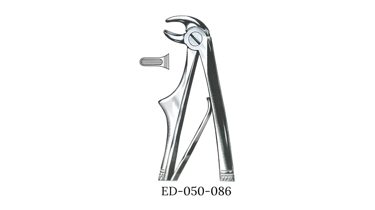 DAVIER ENF INCISIVE INF N5