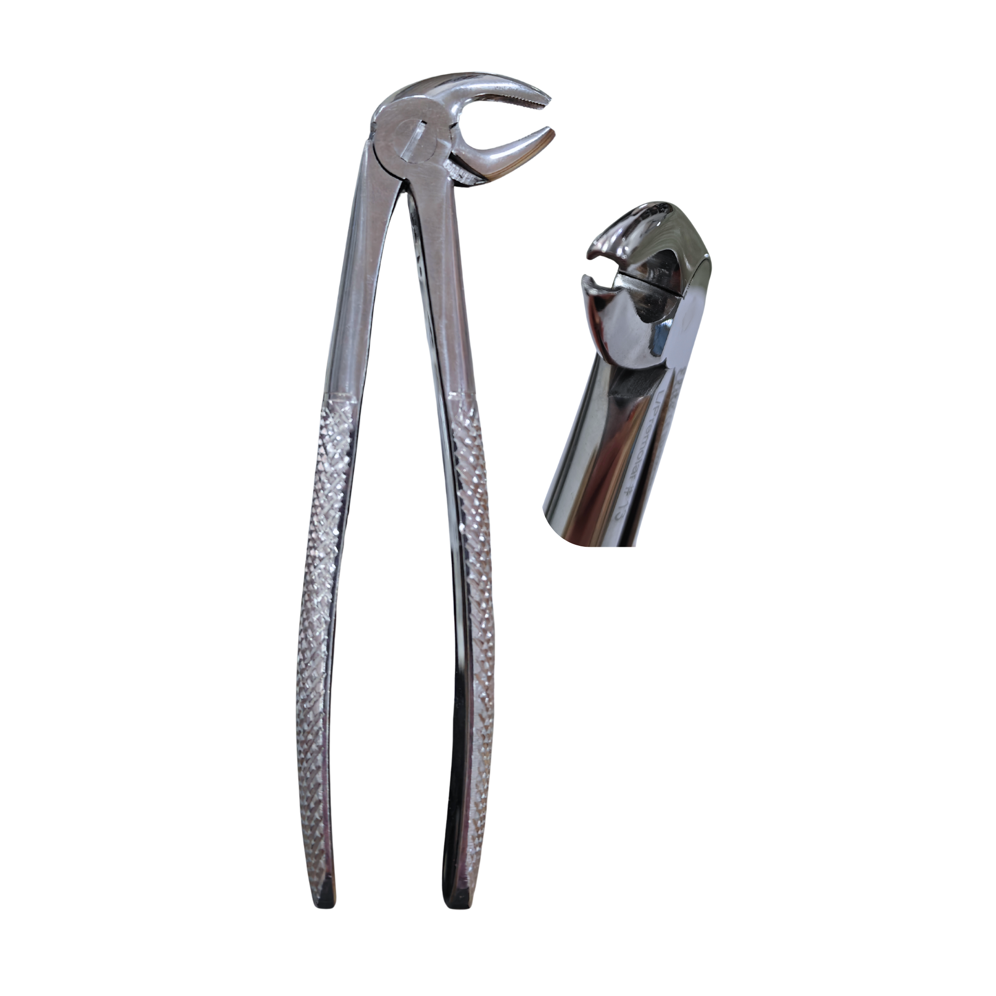 DAVIER ADLT PREMOLAIRE INF N 13